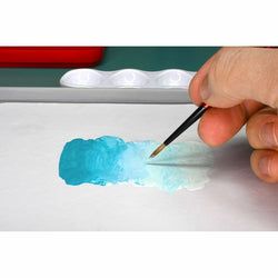 Redgrass Everlasting Wet Palette Painter V2