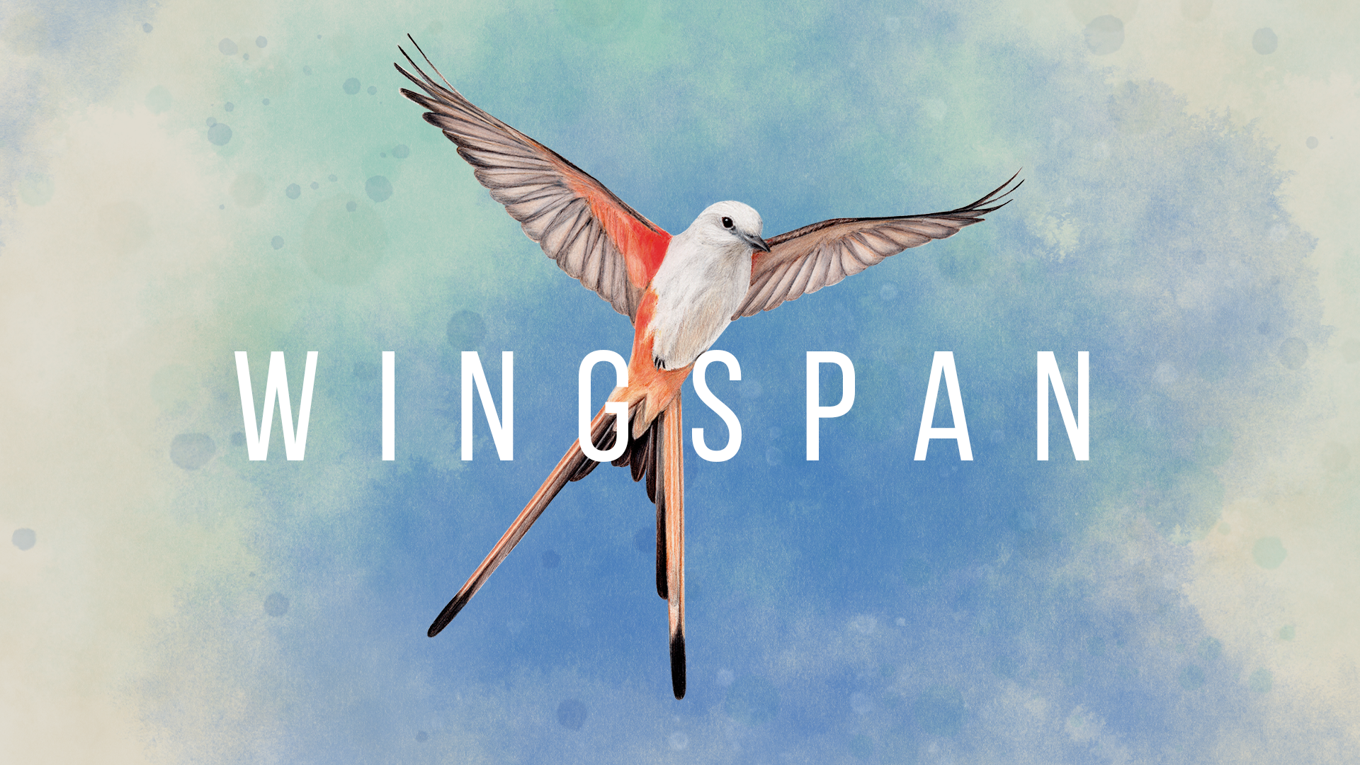 Board Game Collection - Wingspan