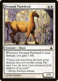 Dromad Purebred [Ravnica: City of Guilds]-1
