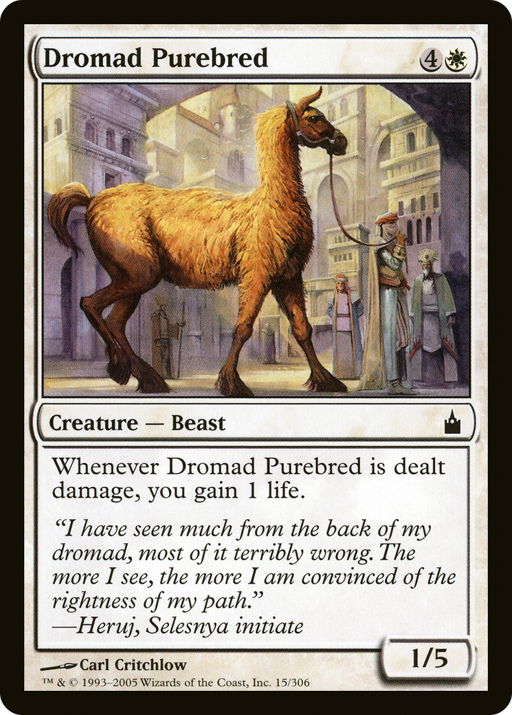 Dromad Purebred [Ravnica: City of Guilds]-1