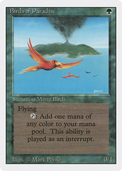 Birds of Paradise [Revised Edition]-1