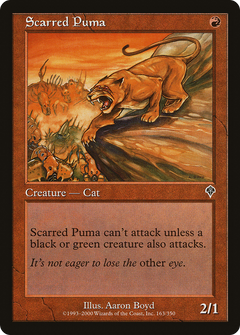 Scarred Puma [Invasion]-1