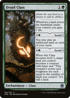 Druid Class [Dungeons & Dragons: Adventures in the Forgotten Realms]-1