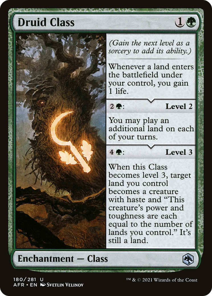 Druid Class [Dungeons & Dragons: Adventures in the Forgotten Realms]