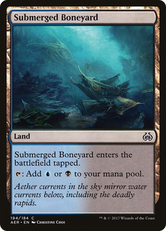 Submerged Boneyard [Aether Revolt]-1