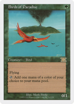 Birds of Paradise [Classic Sixth Edition]-1