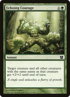 Echoing Courage [Modern Masters]-1