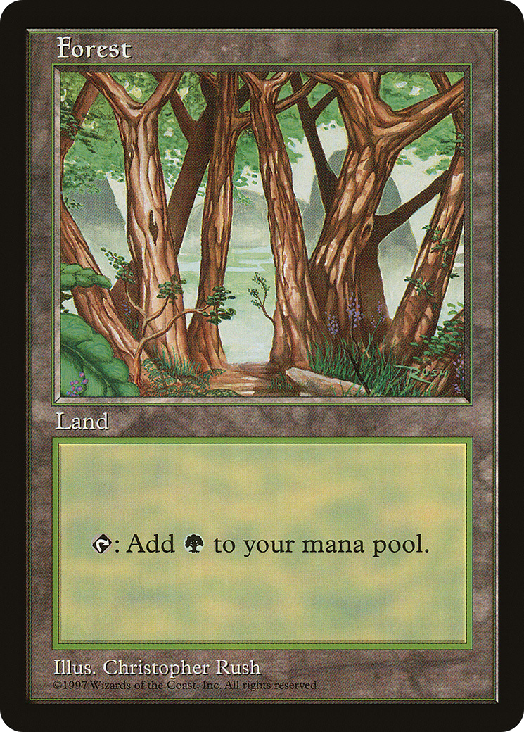 Forest (6) [Asia Pacific Land Program]-1