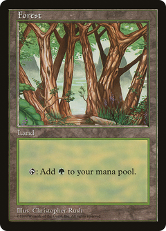Forest (6) [Asia Pacific Land Program]-1