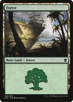 Forest (262) [Dragons of Tarkir]-1