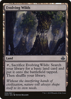 Evolving Wilds [Duel Decks: Elspeth vs. Kiora]-1