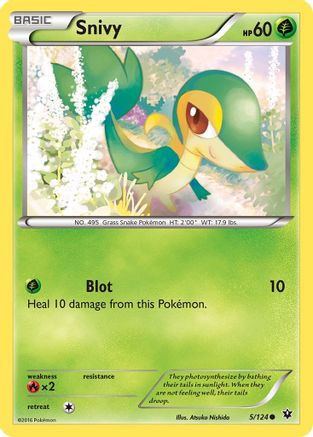 Snivy (5/124) [XY: Fates Collide]-1