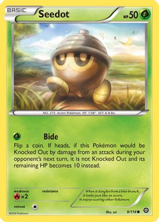 Seedot (9/114) [XY: Steam Siege]-1