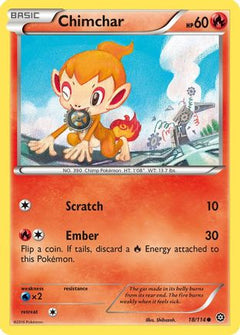 Chimchar (18/114) [XY: Steam Siege]-1