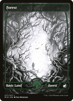 Forest (277) [Innistrad: Midnight Hunt]-1
