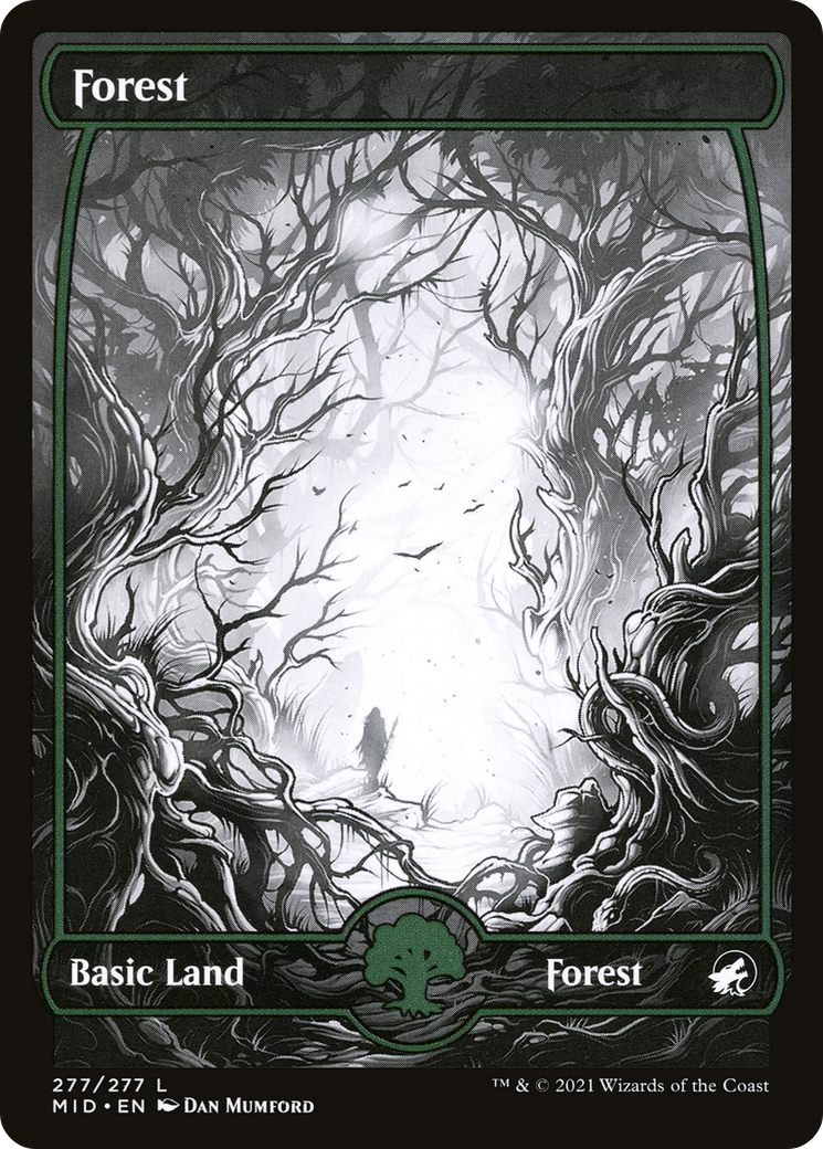 Forest (277) [Innistrad: Midnight Hunt]-1