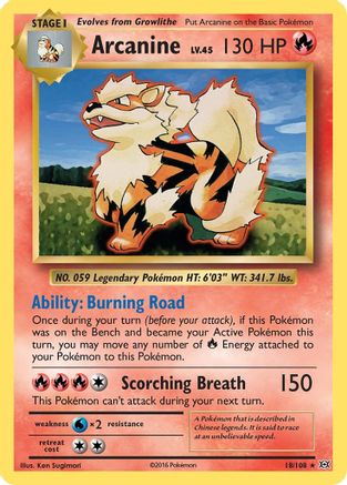 Arcanine (18/108) [XY: Evolutions]-1