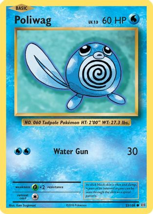 Poliwag (23/108) [XY: Evolutions]-1
