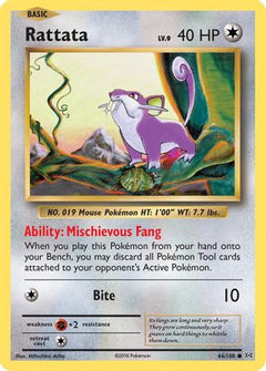 Rattata (66/108) [XY: Evolutions]-1