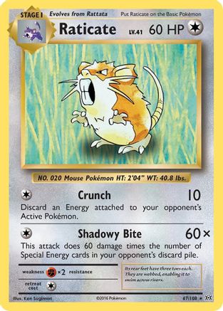Raticate (67/108) [XY: Evolutions]-1