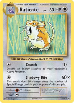 Raticate (67/108) [XY: Evolutions]-1