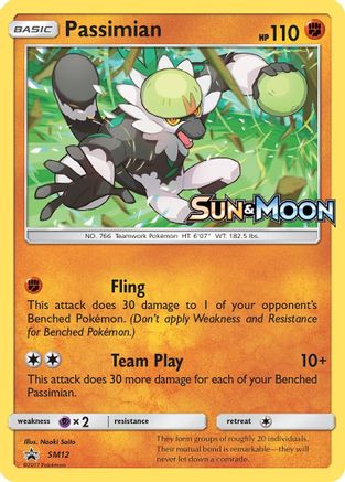 Passimian (SM12) [Sun & Moon: Black Star Promos]-1