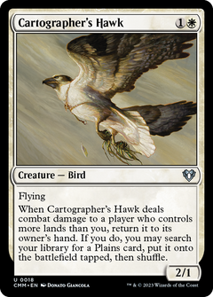 Cartographer's Hawk [Commander Masters]-1