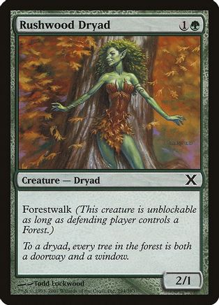Rushwood Dryad (10E-294) - 10th Edition Foil-1
