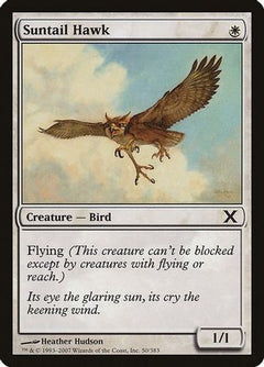 Suntail Hawk (10E-050) - 10th Edition-1