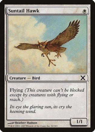 Suntail Hawk (10E-050) - 10th Edition-1