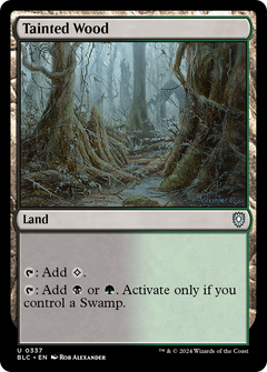 Tainted Wood [Bloomburrow Commander]-1