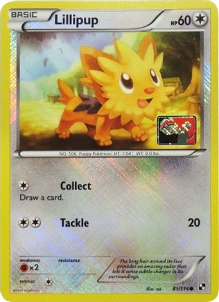 Lillipup (81/114) (League Promo) [Black & White: Base Set]-1