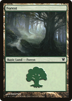 Forest (263) [Innistrad]-1