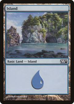 Island (234) [Magic 2010]-1
