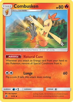 Combusken (5/70) [Sun & Moon: Dragon Majesty]-1