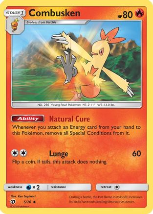 Combusken (5/70) [Sun & Moon: Dragon Majesty]-1