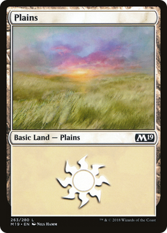 Plains (263) [Core Set 2019]-1