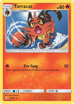 Torracat (28/214) [Sun & Moon: Unbroken Bonds]-1