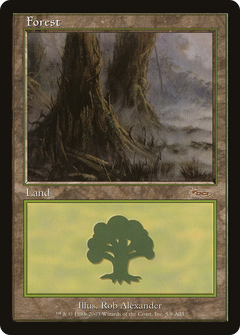 Forest (5) [Arena League 2003]-1