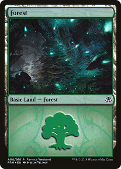 Forest (A06) [Ravnica Allegiance Ravnica Weekend]-1