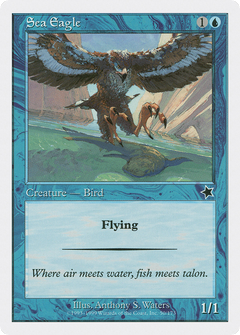 Sea Eagle [Starter 1999]-1