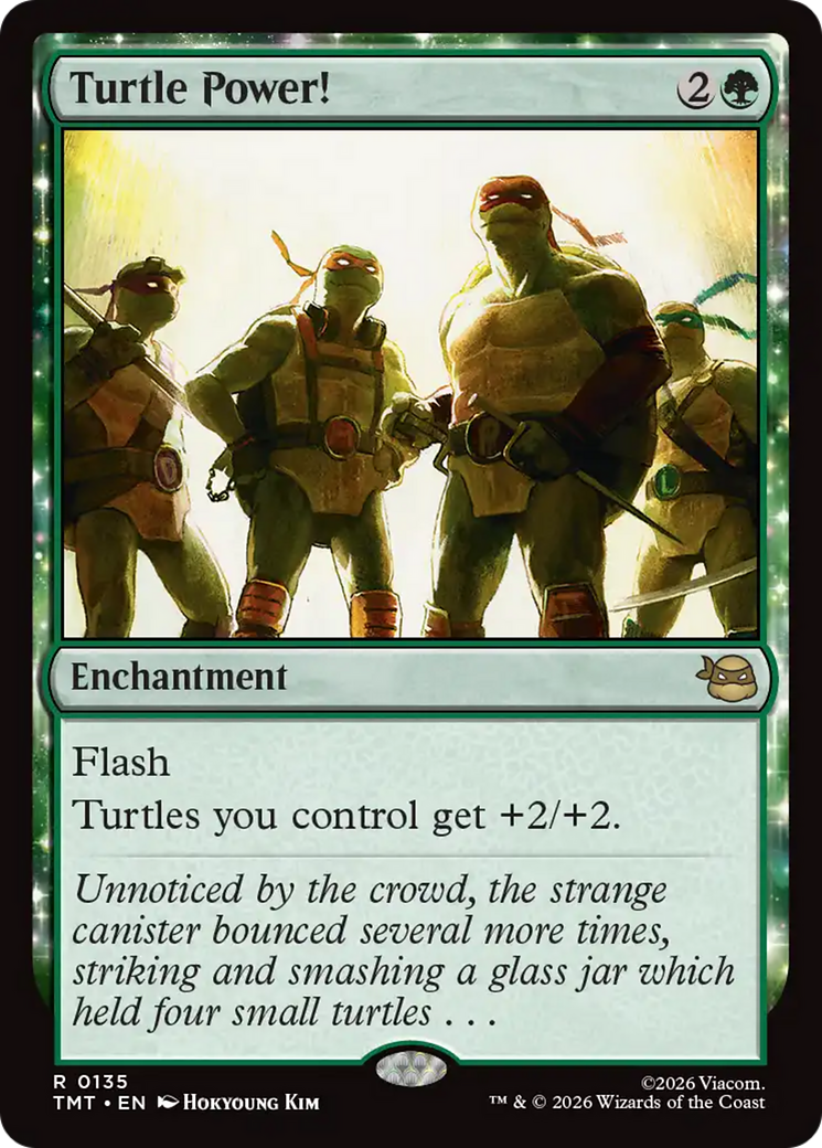 Turtle Power! [Teenage Mutant Ninja Turtles]-1