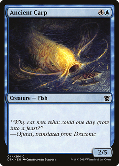 Ancient Carp [Dragons of Tarkir]-1