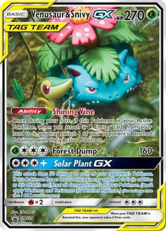 Venusaur & Snivy GX (SM229) [Sun & Moon: Black Star Promos]-1