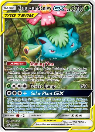 Venusaur & Snivy GX (SM229) [Sun & Moon: Black Star Promos]-1