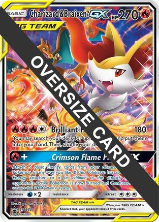 Charizard & Braixen GX (SM230) (Jumbo Card) [Sun & Moon: Black Star Promos]-1