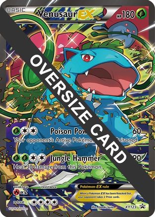 Venusaur EX (XY123) (Jumbo Card) [XY: Black Star Promos]-1