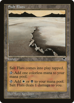 Salt Flats [Tempest]-1