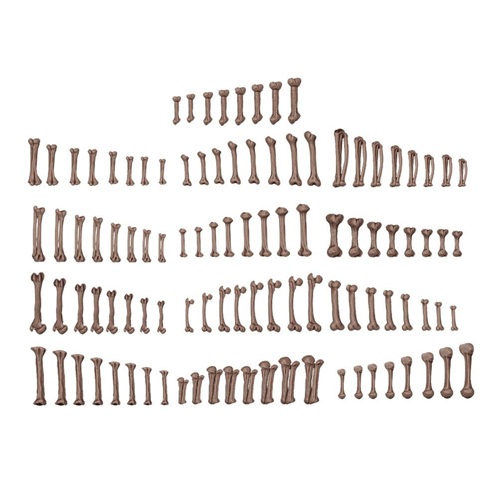 AK Interactive - Basing Bits - Human Bones - 120 Pieces