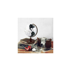 Puzzle - Sphere - 9" Marble Earth